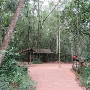 Lối đi trong khu di tích Địa đạo Củ Chi