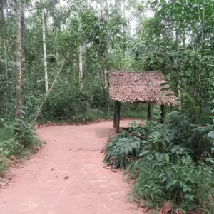 Lối đi trong khu di tích Địa đạo Củ Chi