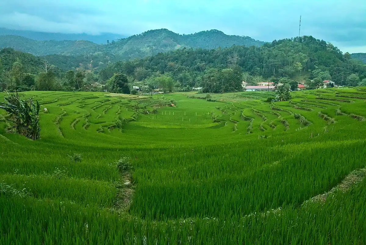 Ruộng bậc thang Hạ Thành, Hà Giang
