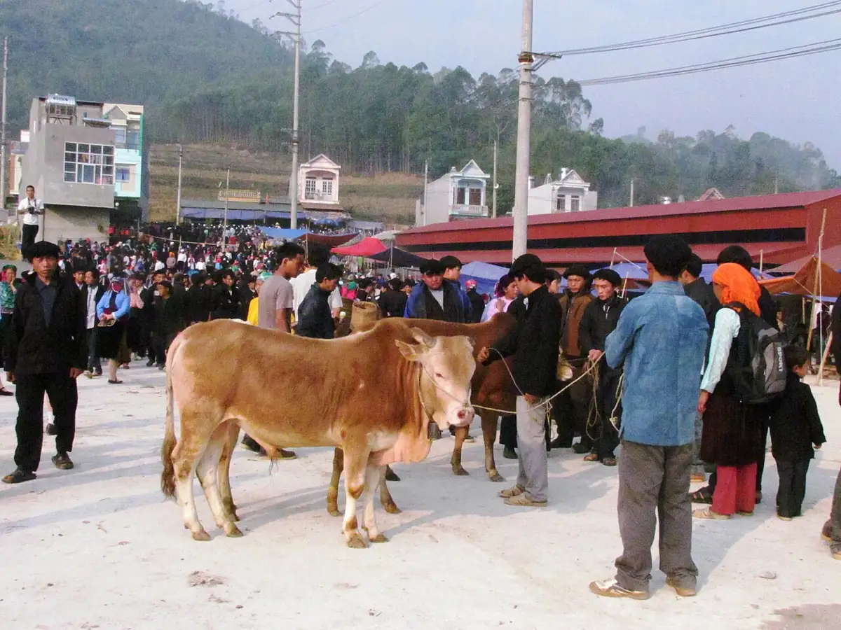 Một góc chợ phiên Đồng Văn, Hà Giang