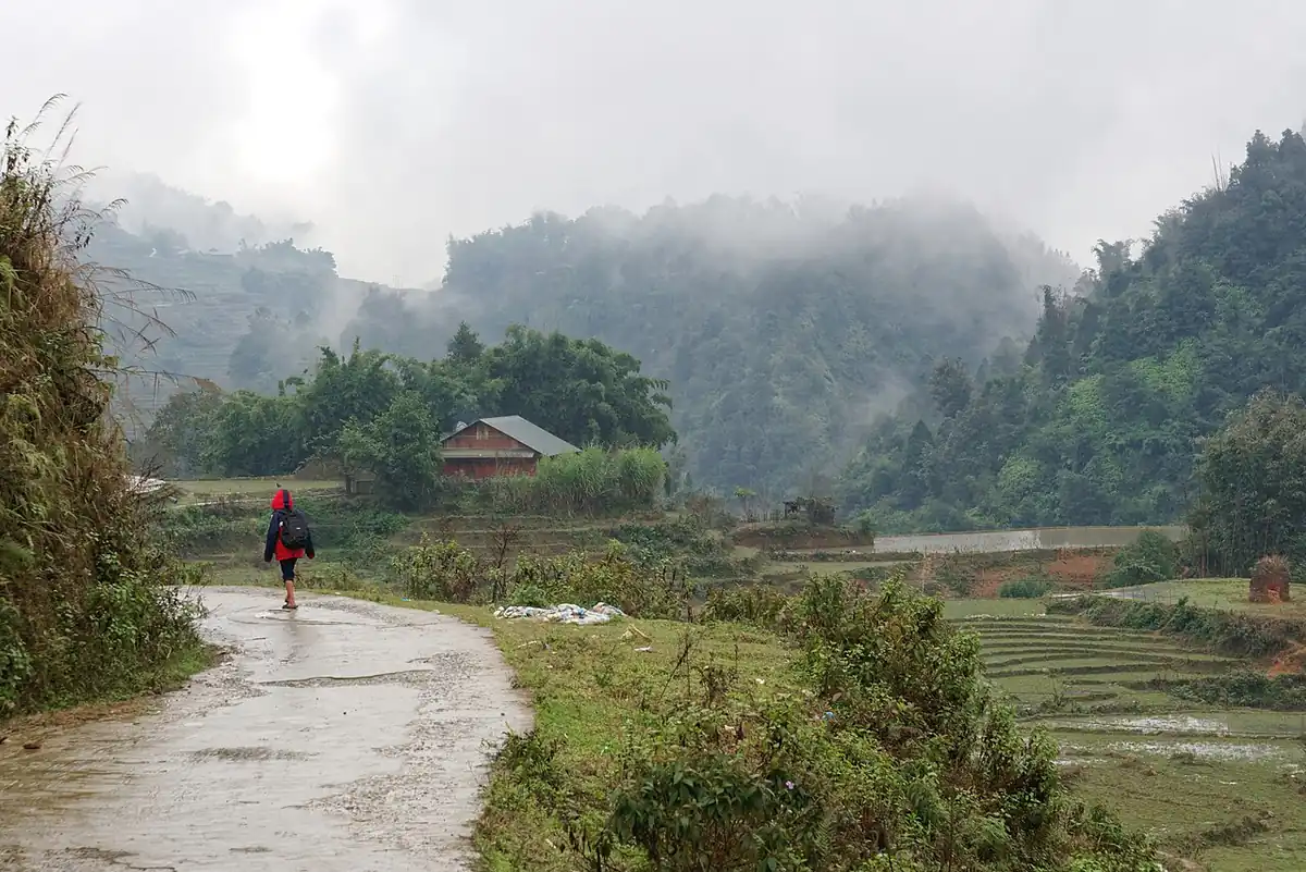 Đường đất giữa ruộng bậc thang Sa Pa trong sương