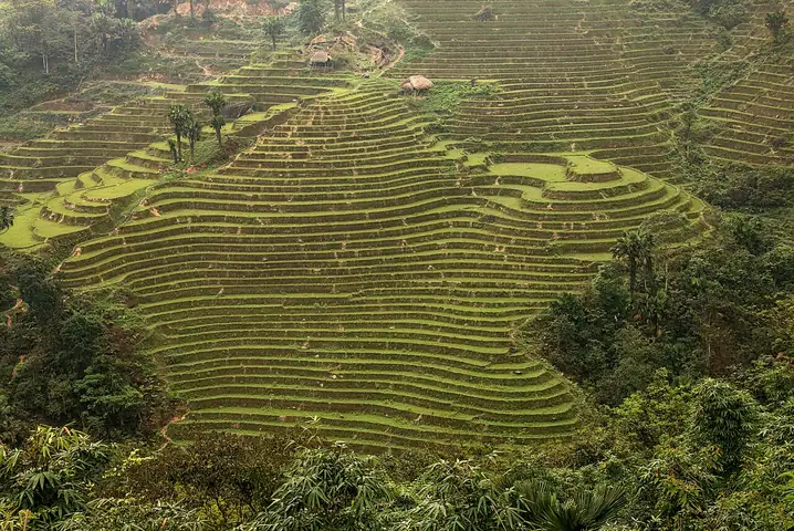 Ruộng bậc thang Lùng Vài, Hà Giang