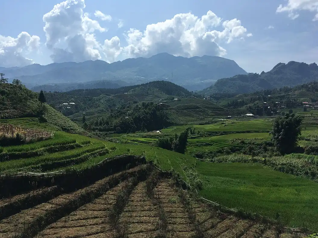 Phong cảnh ruộng nương ở Sa Pa