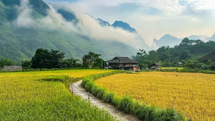 Thung lũng Du Già mùa lúa chín trên Hà Giang Loop