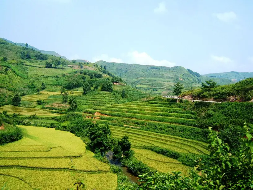 Mùa thu trên ruộng bậc thang Yên Minh, Hà Giang