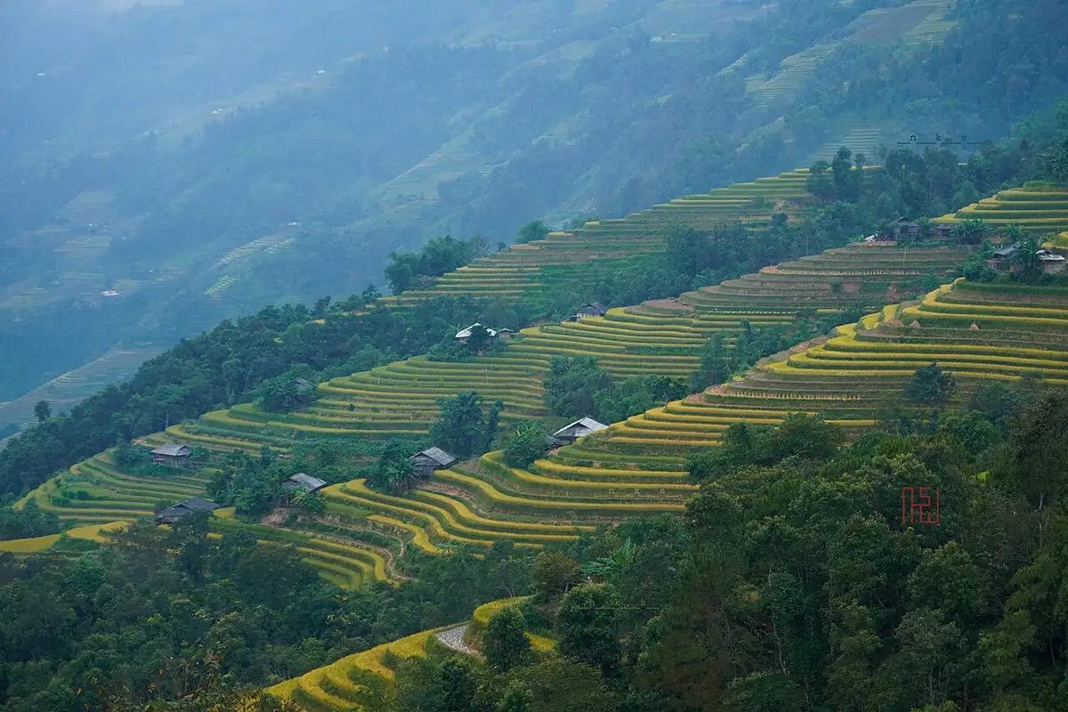 Ruộng bậc thang Bản Phùng, Hoàng Su Phì