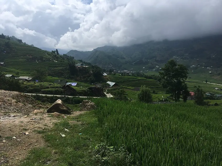 Ruộng lúa và nhà dân ở Tả Van, Sa Pa