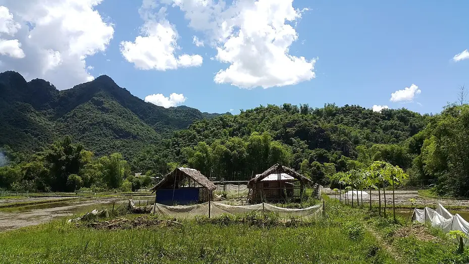 Cánh đồng và nhà sàn Bản Lác, Mai Châu