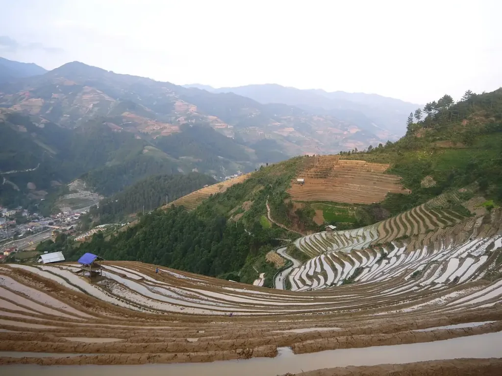 Ruộng bậc thang Mù Cang Chải mùa nước đổ