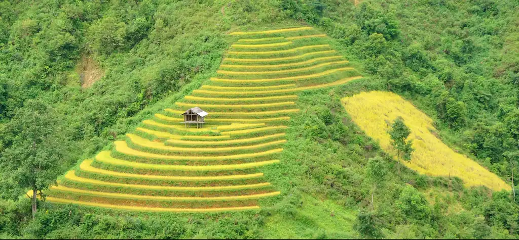 Ruộng bậc thang La Pán Tẩn, Mù Cang Chải