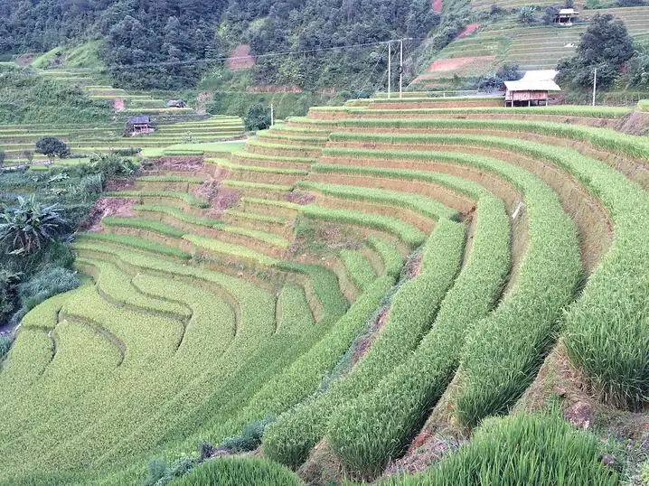 Ruộng bậc thang Chế Cu Nha, tỉnh Lào Cai