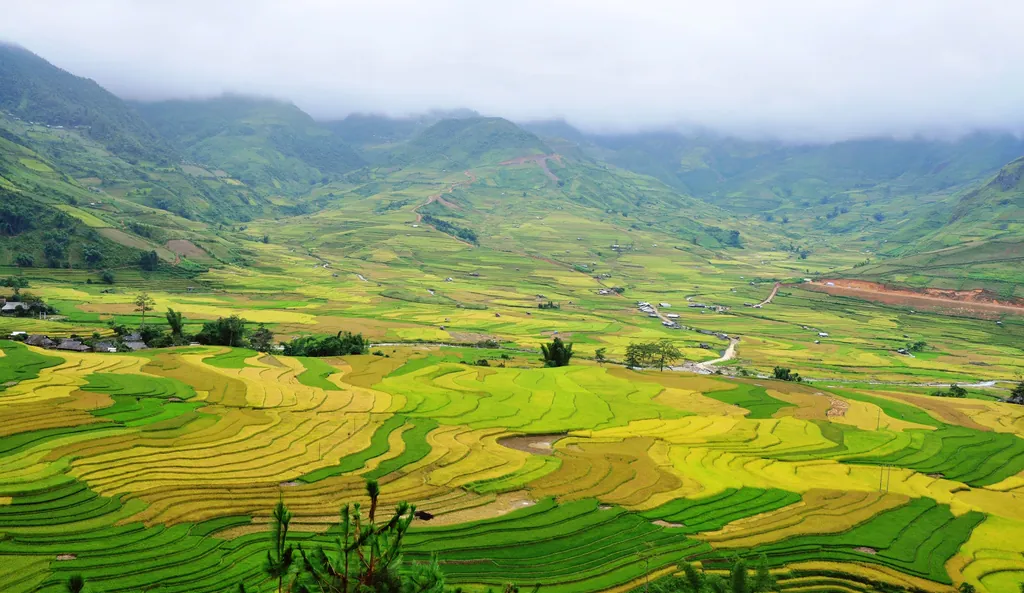 Thung lũng lúa chín ở Lìm Mông