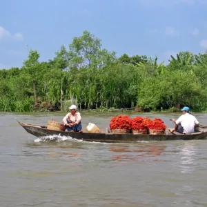 Đi thuyền trên sông Tiền, miền Tây