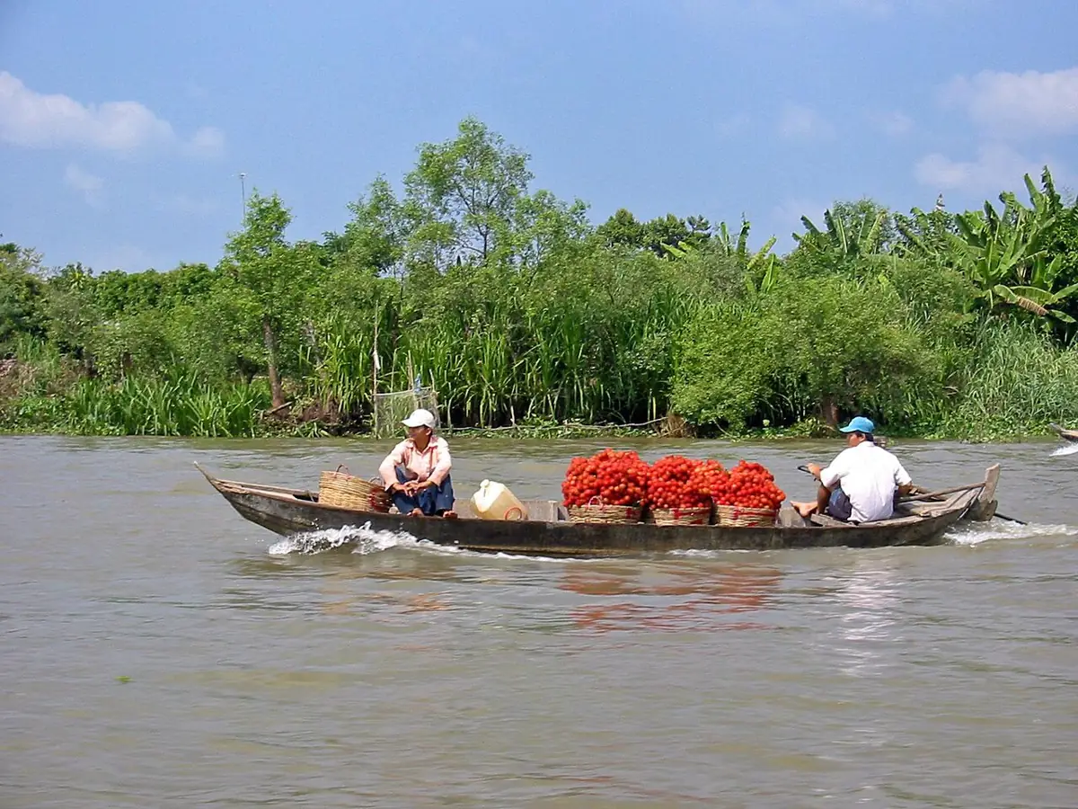 Đi thuyền trên sông Tiền, miền Tây