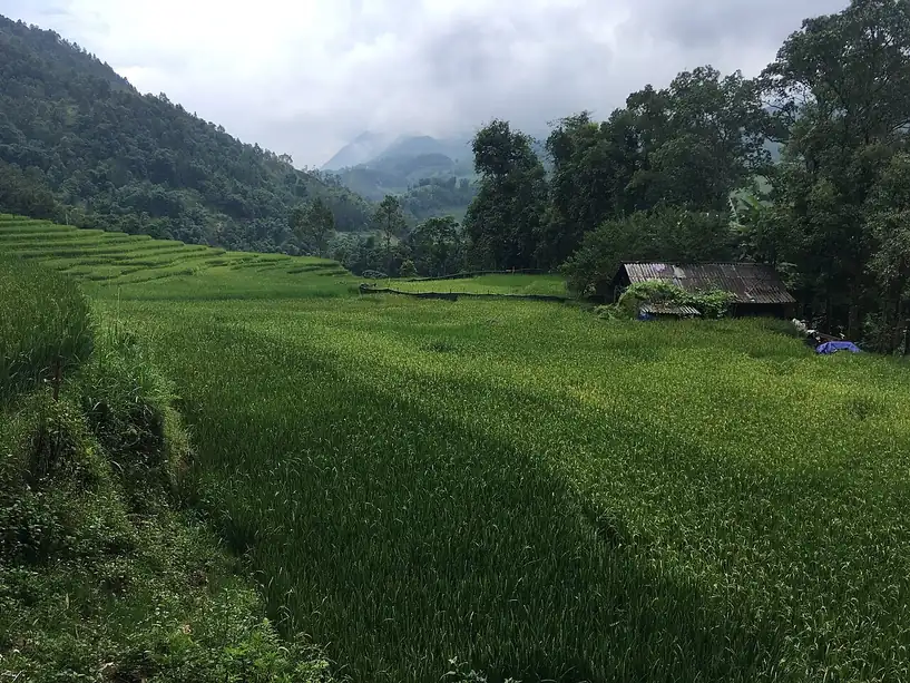 Ruộng bậc thang Sa Pa