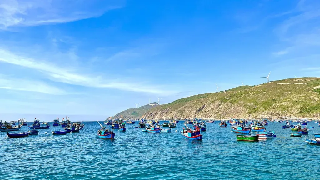 Biển Quy Nhơn