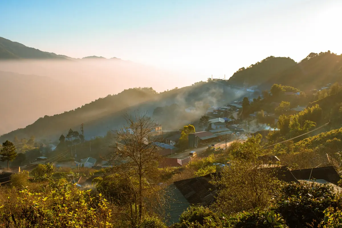 Tà Xùa trong sương sớm