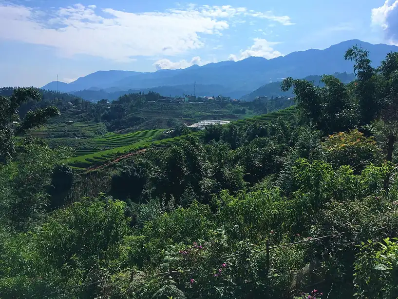 Phong cảnh núi rừng Sa Pa