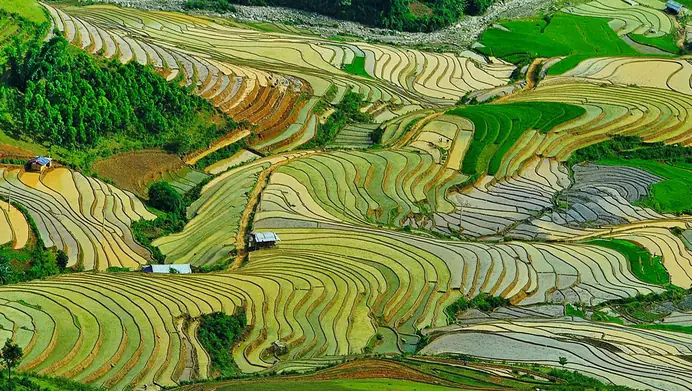 Ruộng bậc thang Khau Phạ mùa nước đổ, vùng Tây Bắc