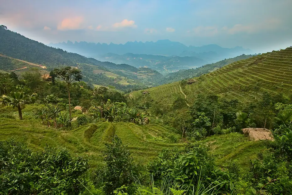 Ruộng bậc thang Lùng Vài, Hà Giang