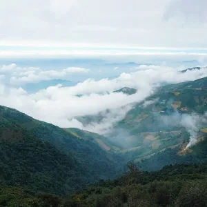 Mây bồng bềnh trên núi Tà Xùa