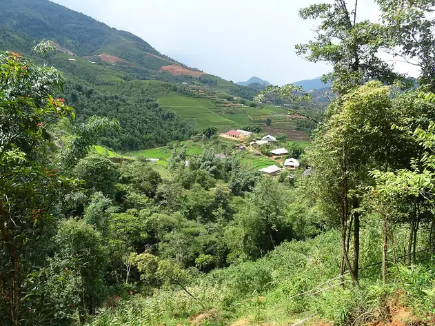 Phong cảnh núi rừng Sa Pa trên hành trình tour Tây Bắc